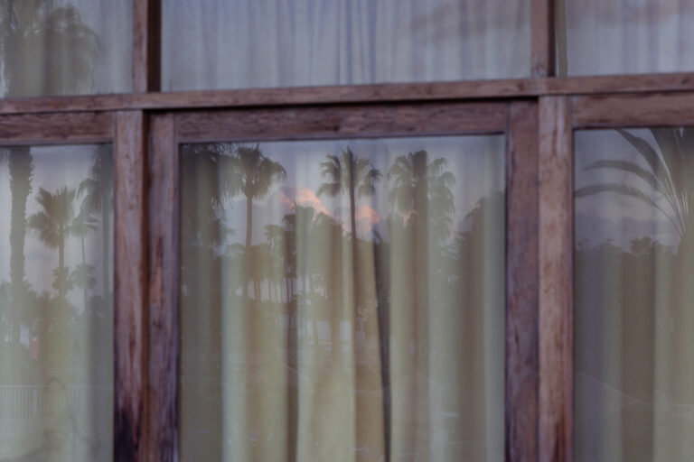 Nuevo Mundo Reflejos Palmeras