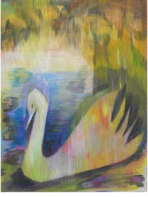 cisne enfadado