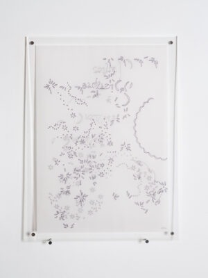 Archivo de fragilidades